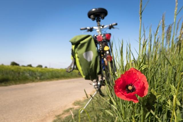 B&B The Protea Zonnebeke Eksteriør billede